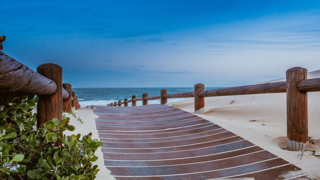 What to pack in your luggage for a trip down south