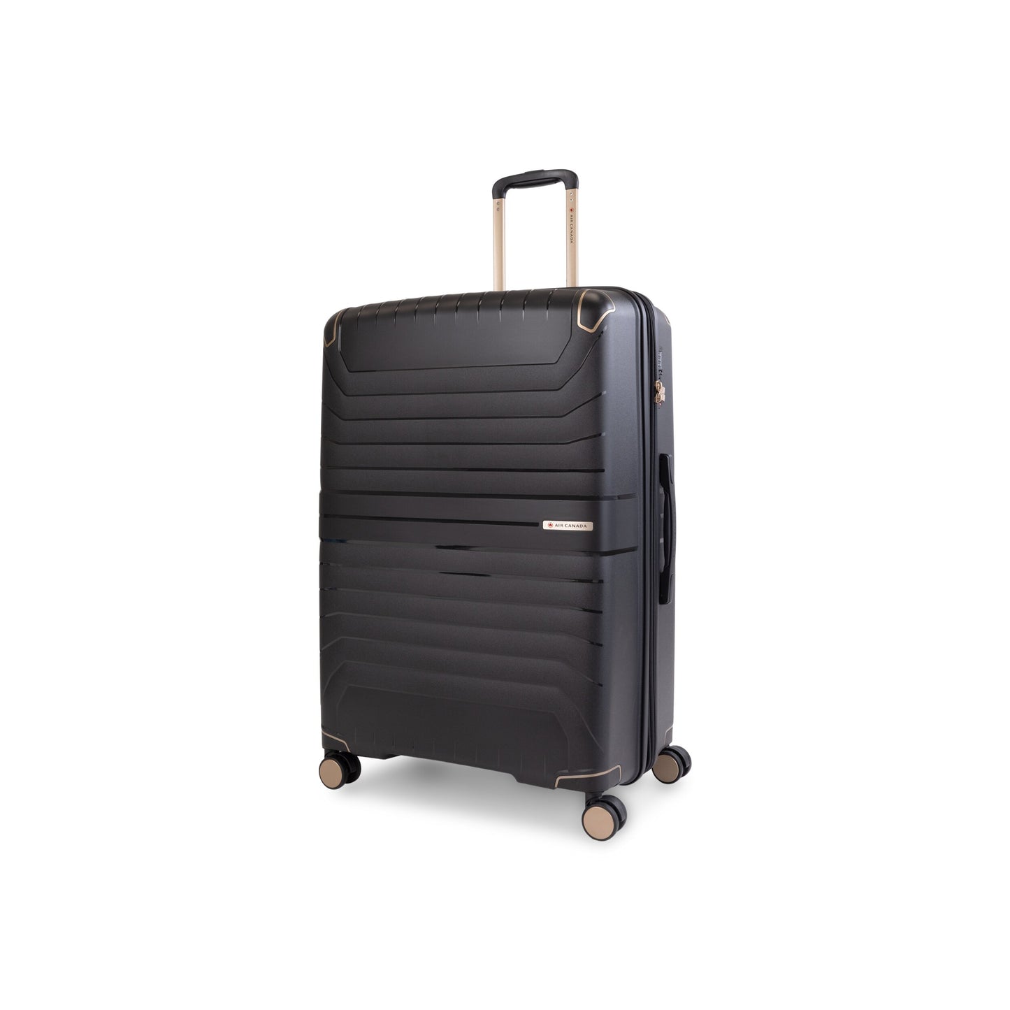 Air Canada Logan Check-in Large