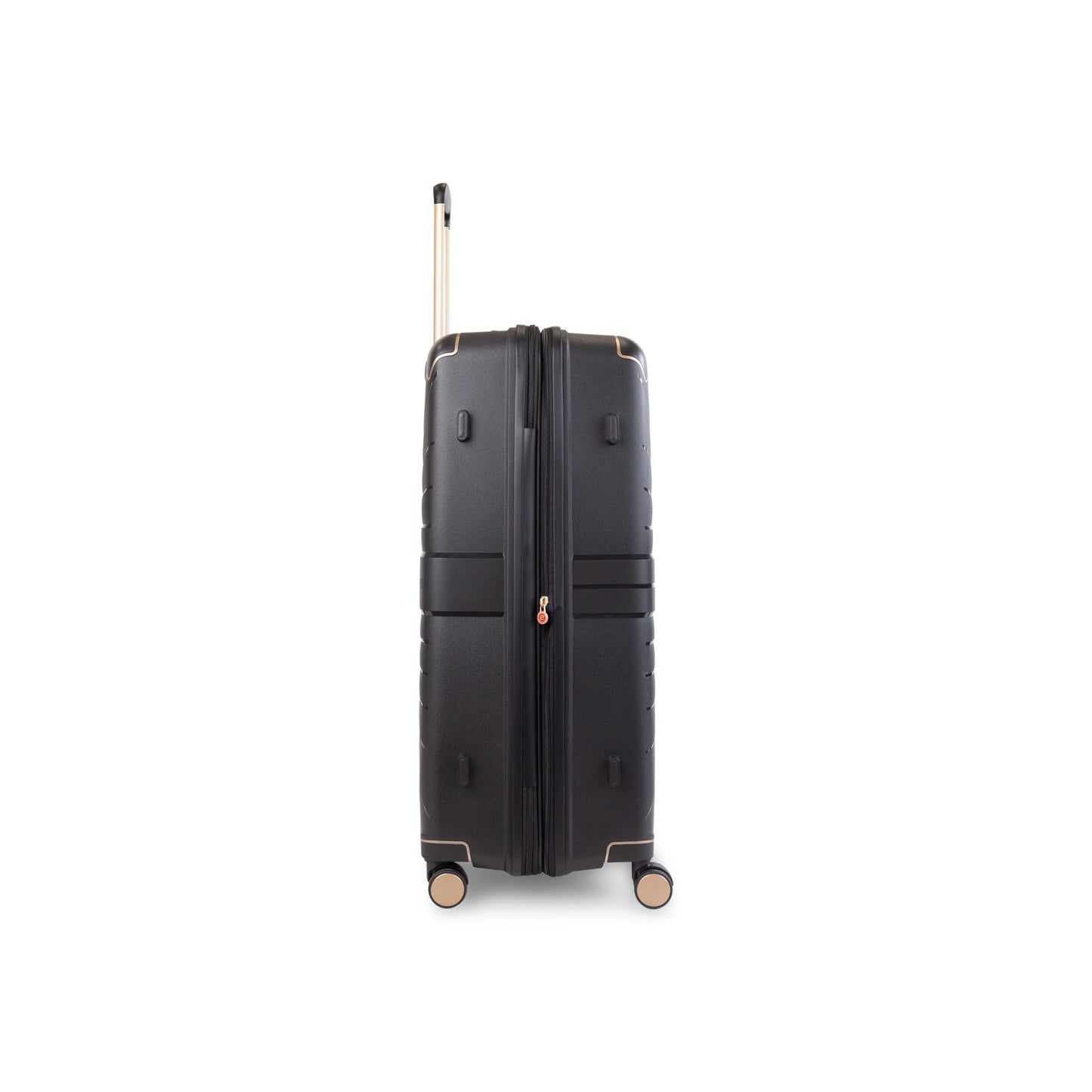 Air Canada Logan Check-in Large